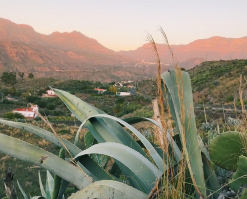 Las Palmas de Gran Canaria