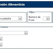 Cálculo pensión alimenticia
